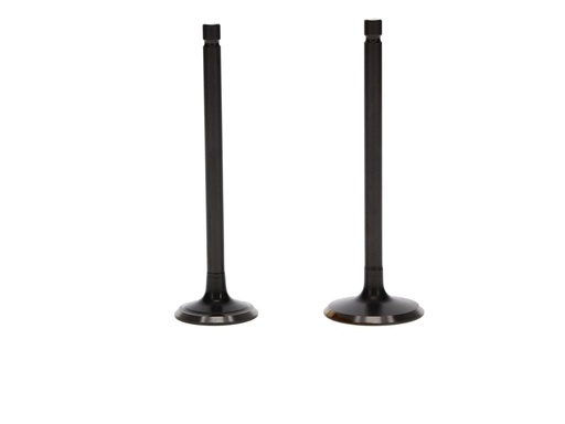 [21C-E2111-K] KIT VALVULA ADM/ESC YAM FZ16 