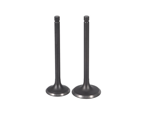 [5HO-12111-K] KIT VALVULA ADM/ESC YAMAHA  FZ 25/XT 200/225 